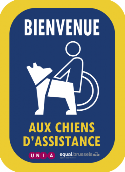  Chiens d’assistance